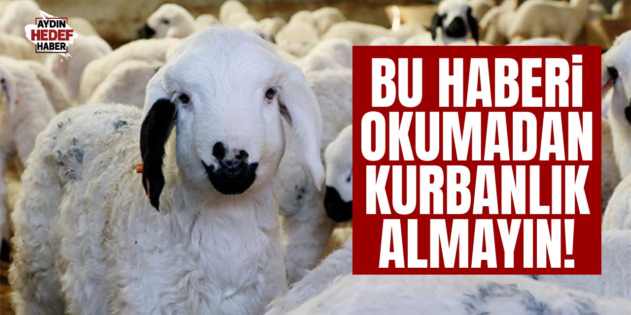 Kurbanl K Se Erken Bunlara Dikkat Hedef Gazetesi