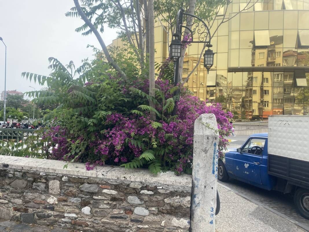 <p>Fabrika, şu anki Aydın Büyükşehir Belediyesinin yanında bulunan Aile Sağlık Merkezi alanına kurulmuştu. Aydın’daki vatandaşların bu köprüyü kullanarak ürünlerini, yağlarını bu fabrikaya getirip değerlendirdiği öğrenildi. Şuanda ise Çavuş Köprüsü'nün yanında beton bir köprü bulunuyor. Beton köprü üzerinde araçlar geçerken Çavuş Köprüsü'nü ise yayalar kullanıyor. Tarihi köprüyü o atmosferi yaşayan kişilerin daha çok tercih ettiği göze çarpıyor.</p>