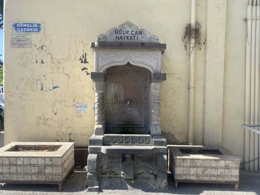 Aydın'da üzücü manzara