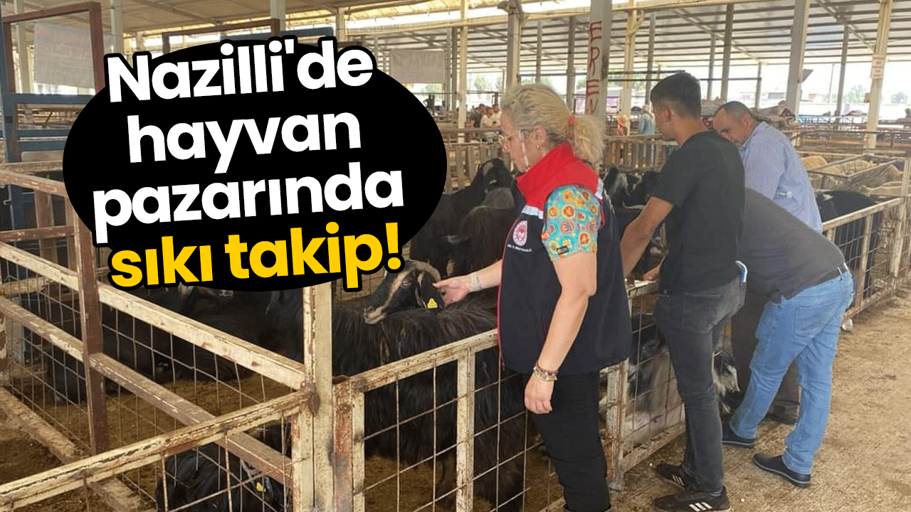 Nazilli'de hayvan pazarında sıkı takip!