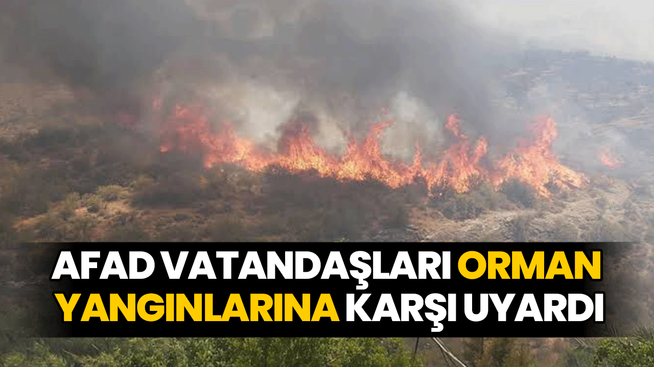 AFAD vatandaşları orman yangınlarına karşı uyardı