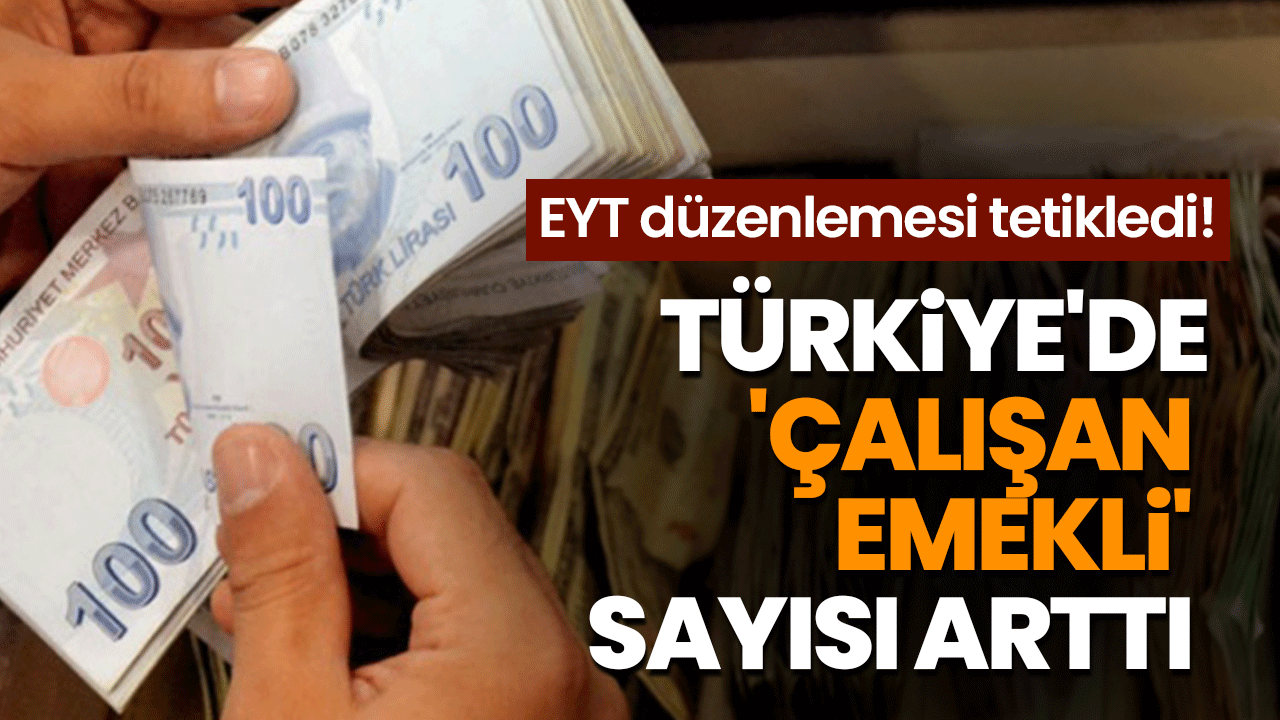 Türkiye'de 'çalışan emekliler' giderek artıyor!