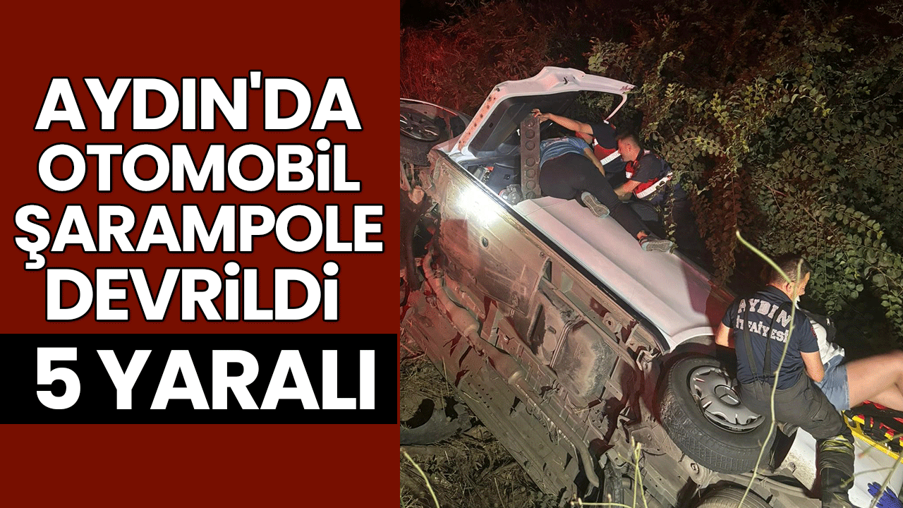 Aydın'da otomobil şarampole devrildi; 5 yaralı