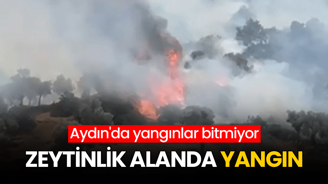 Aydın'da yangınlar bitmiyor