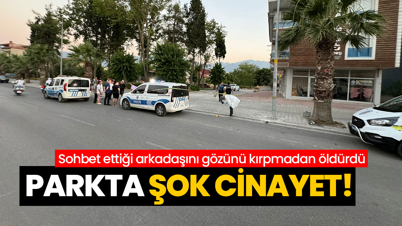 Parkta şok cinayet! Sohbet ettiği arkadaşını gözünü kırpmadan öldürdü