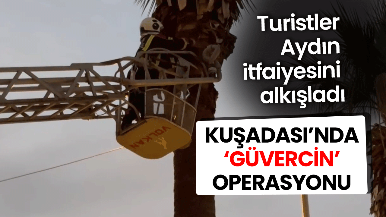 Kuşadası’nda ‘güvercin’ operasyonu