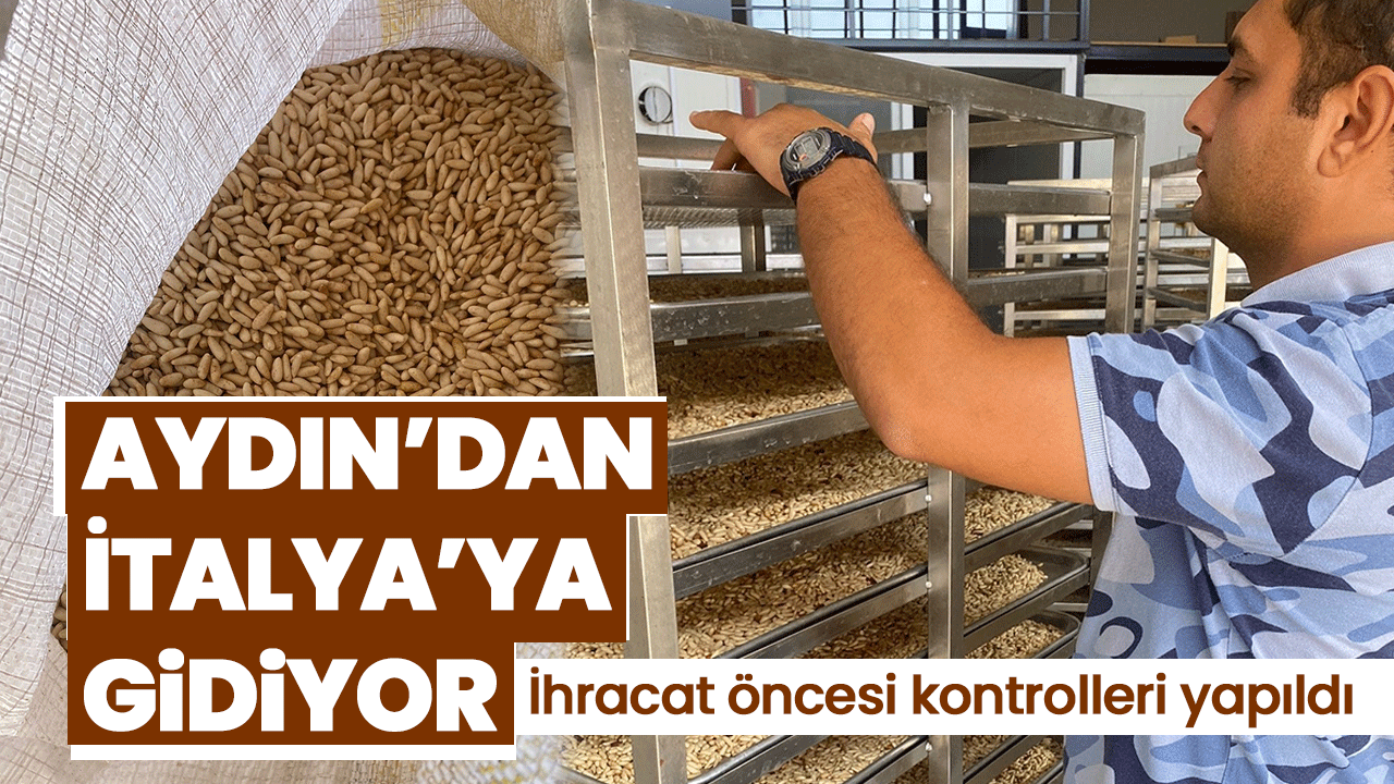 Aydın’dan İtalya’ya gidiyor! İhracat öncesi kontrolleri yapıldı