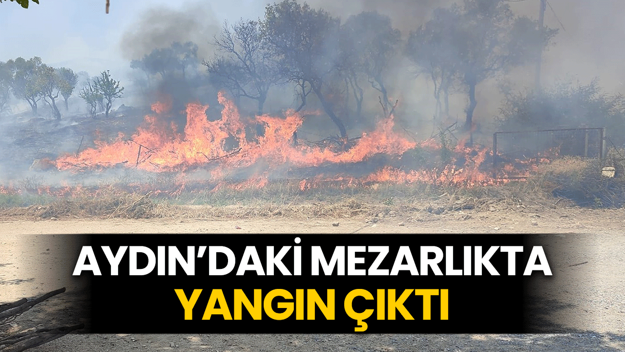 Aydın’daki mezarlıkta yangın çıktı