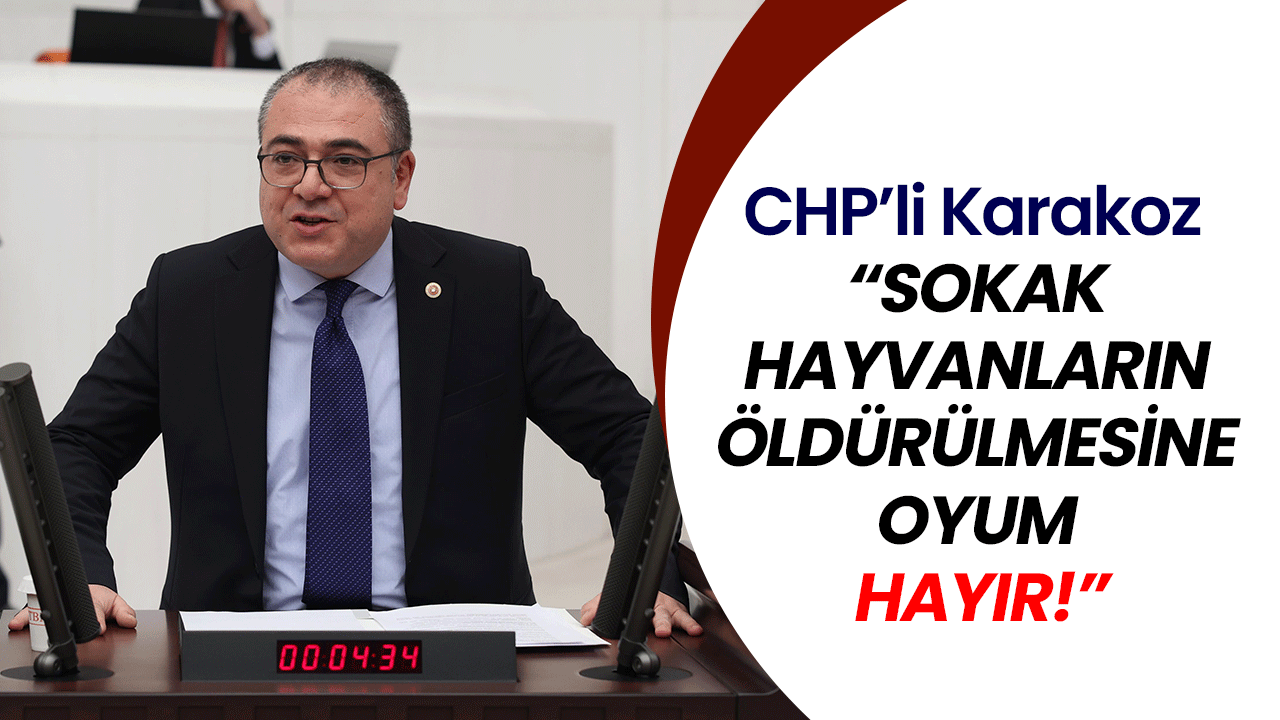 CHP’li Karakoz “Sokak hayvanların öldürülmesine oyum hayır!”