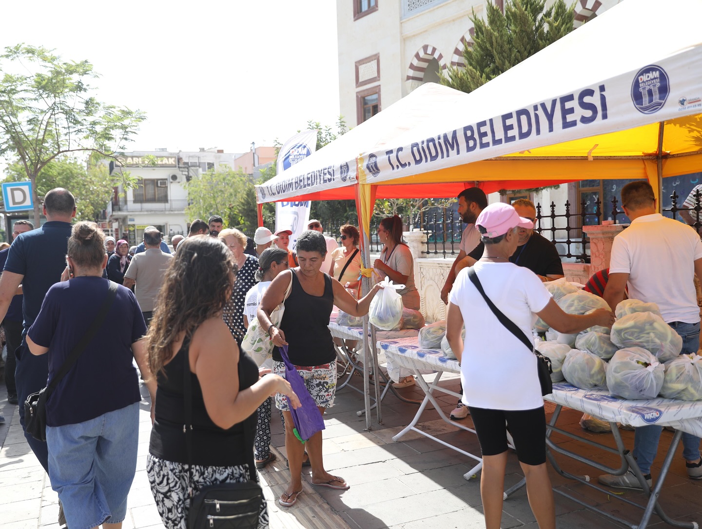 250 dönümlük arazinin mahsulü vatandaşlara ücretsiz dağıtıldı