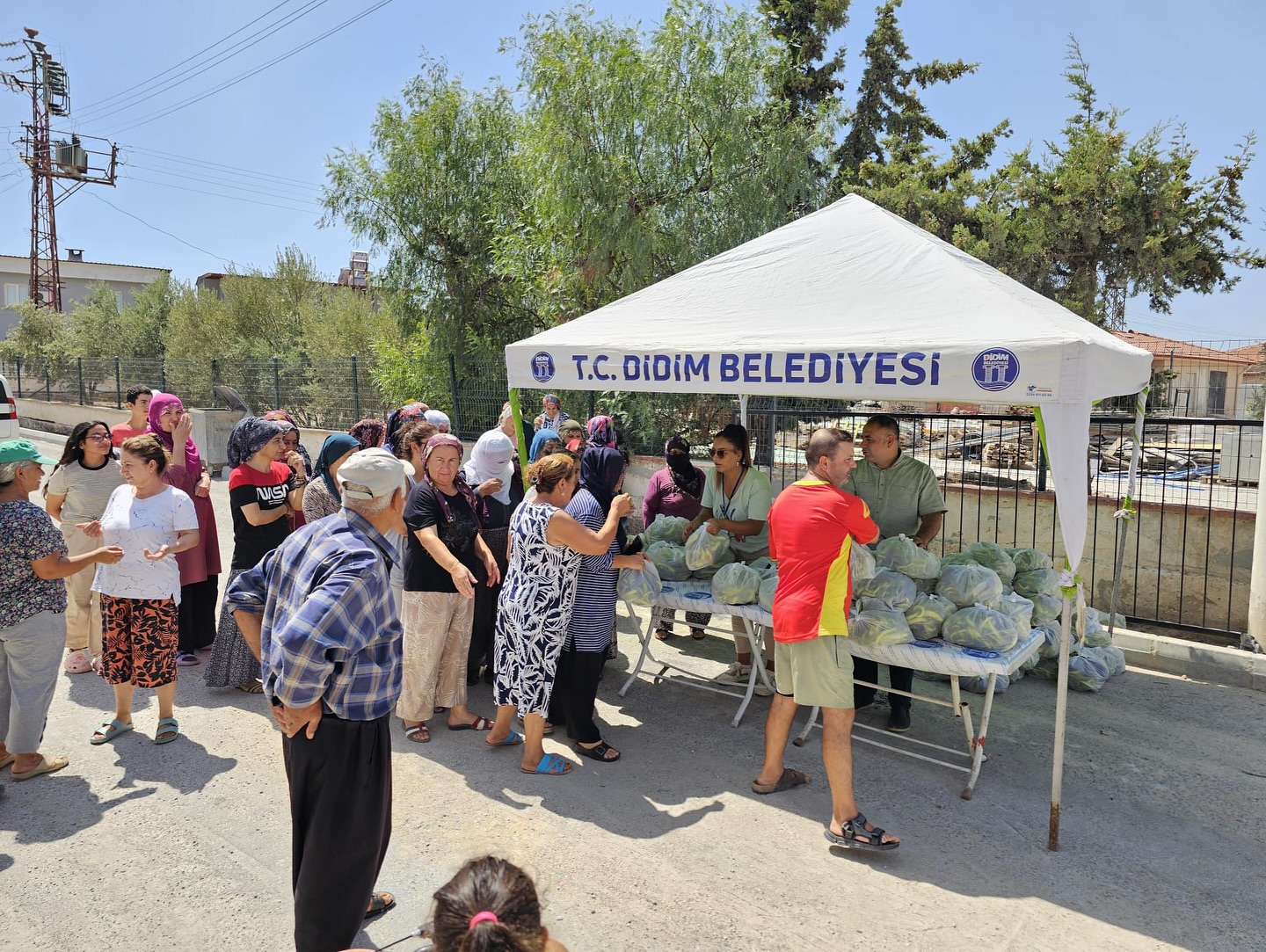 250 dönümlük arazinin mahsulü vatandaşlara ücretsiz dağıtıldı