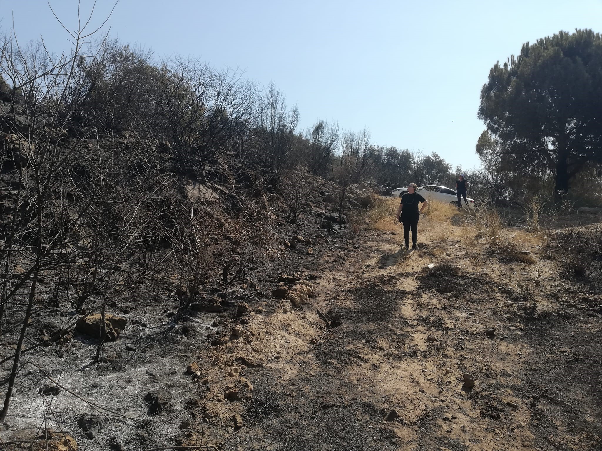 Aydın'da zarar tespiti başladı