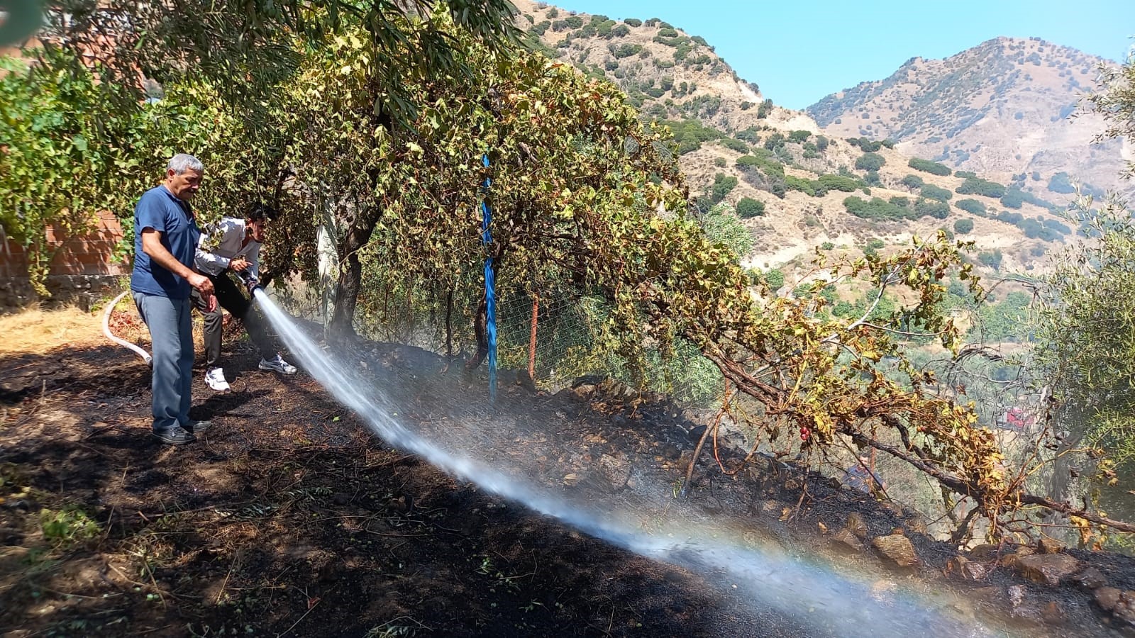 Alınan önlem yangının büyümesini önledi 