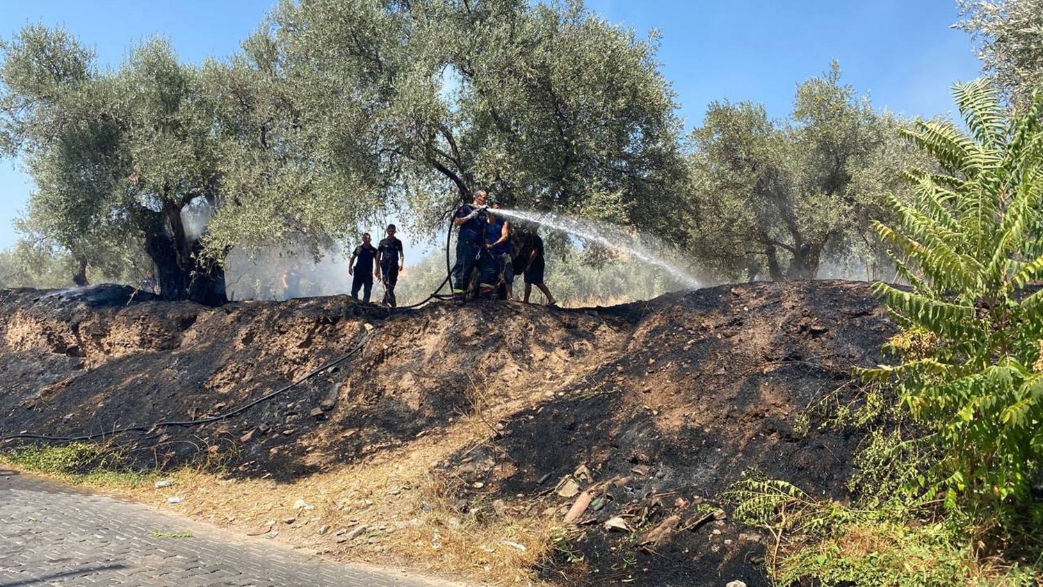 Aydın’da itfaiye ekipleri antik kenti yanmaktan kurtardı