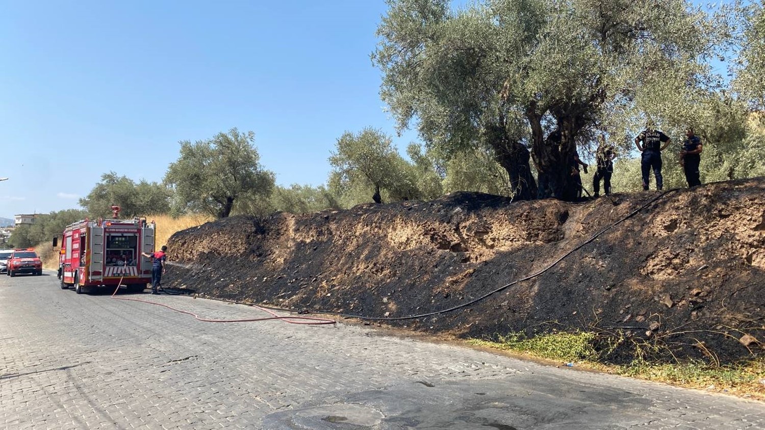 Aydın’da itfaiye ekipleri antik kenti yanmaktan kurtardı