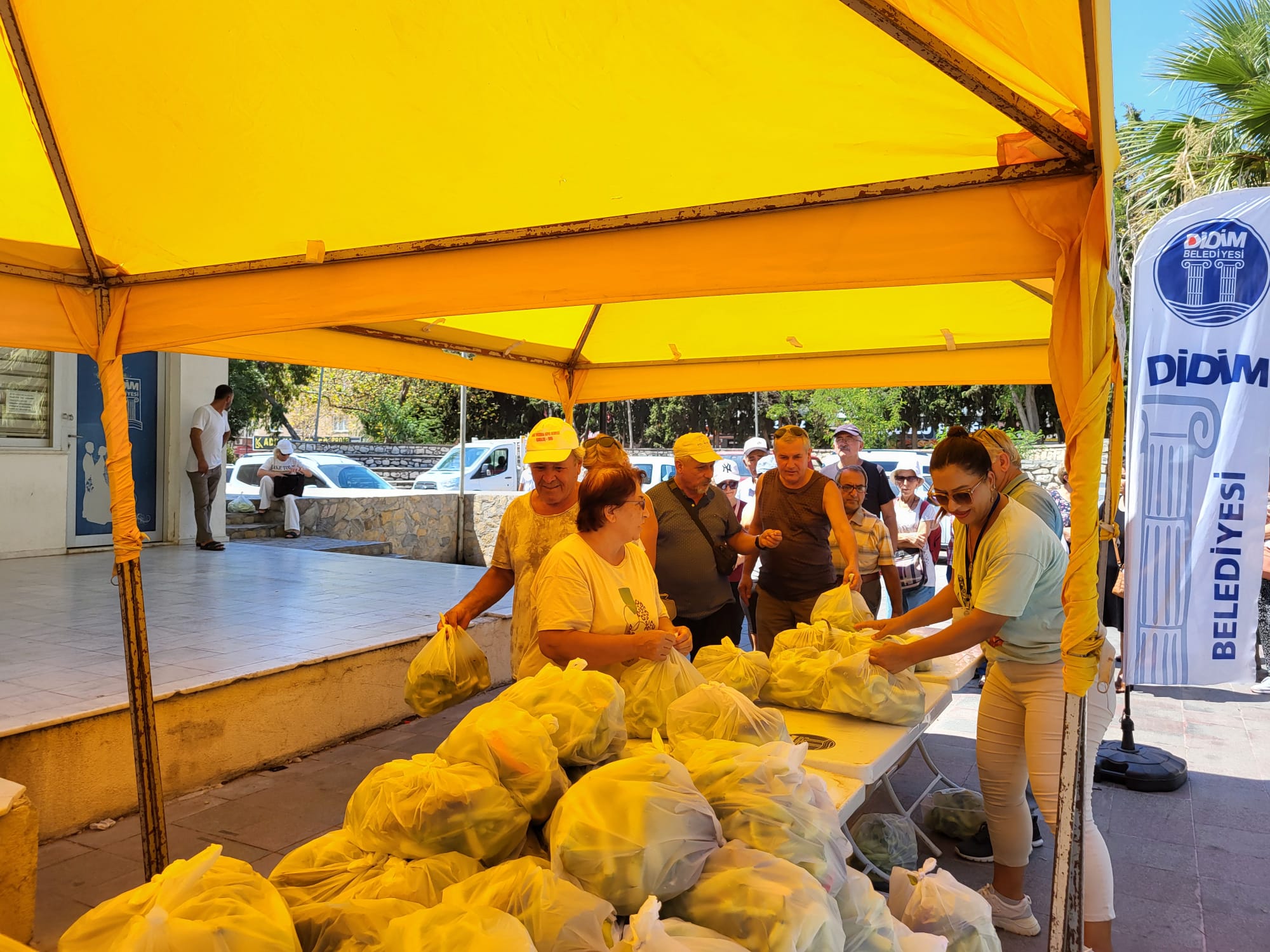 Didim toplanan sebzeler vatandaşla buluştu