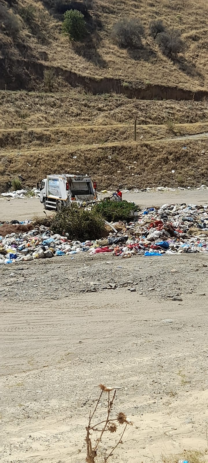 Aydın'da skandal olay! Deve Güreşi Arenası çöplüğe döndü