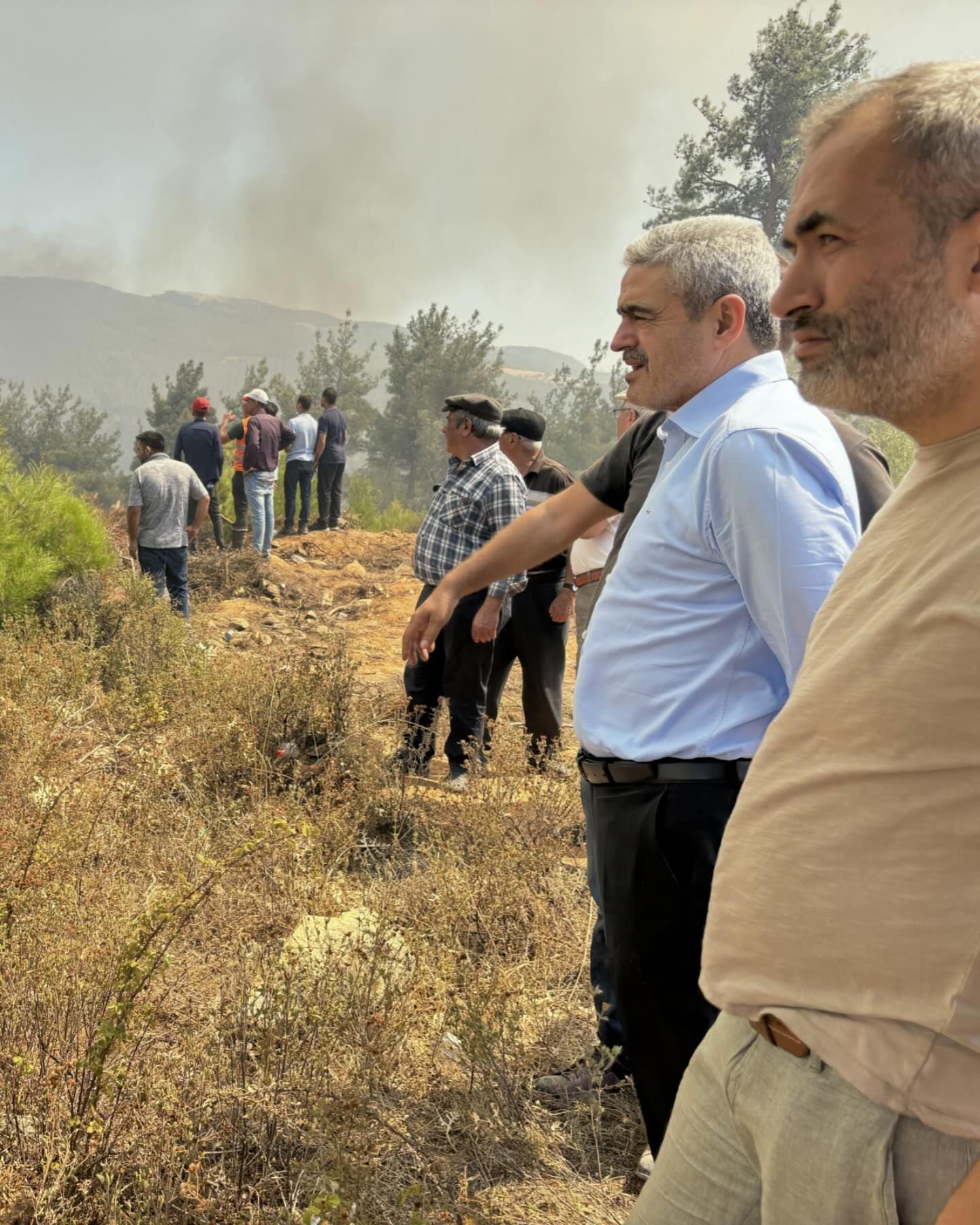 MHP’li Alıcık’tan sert tepki: Yangın bölgesini inceledi