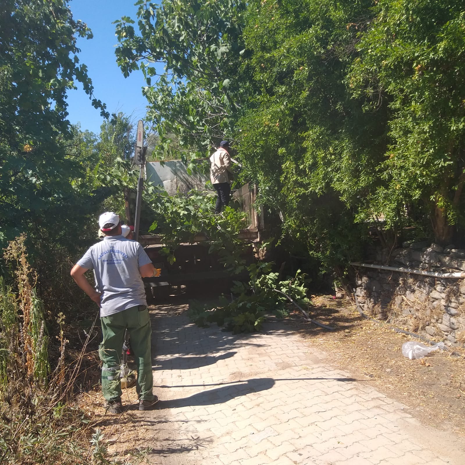 Nazilli’nin kırsal mahalleleri temizleniyor 