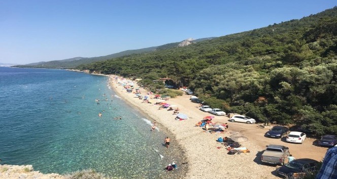 STK’lardan Milli Park açıklaması: “Ziyarete kapatılmalıdır”