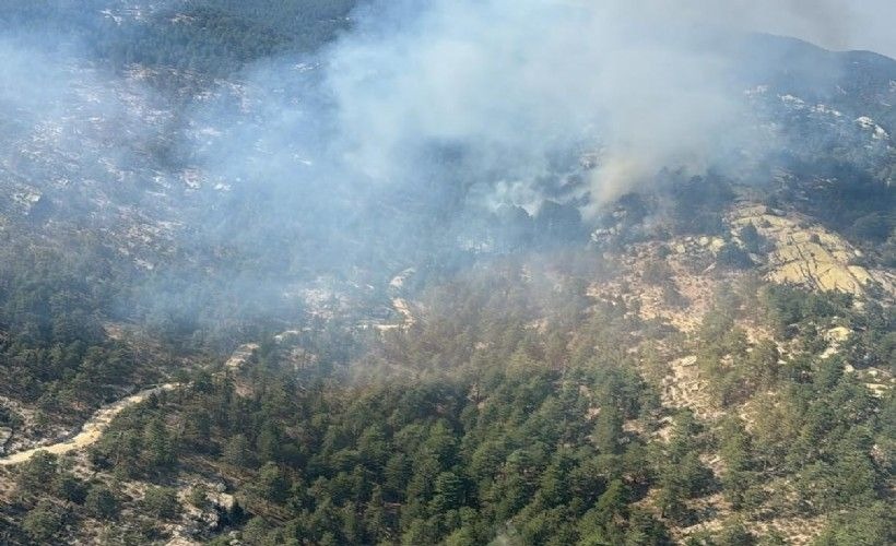 Aman can kaybı olmasın: Bozdoğan'daki yangın yerleşim yerlerine ulaştı