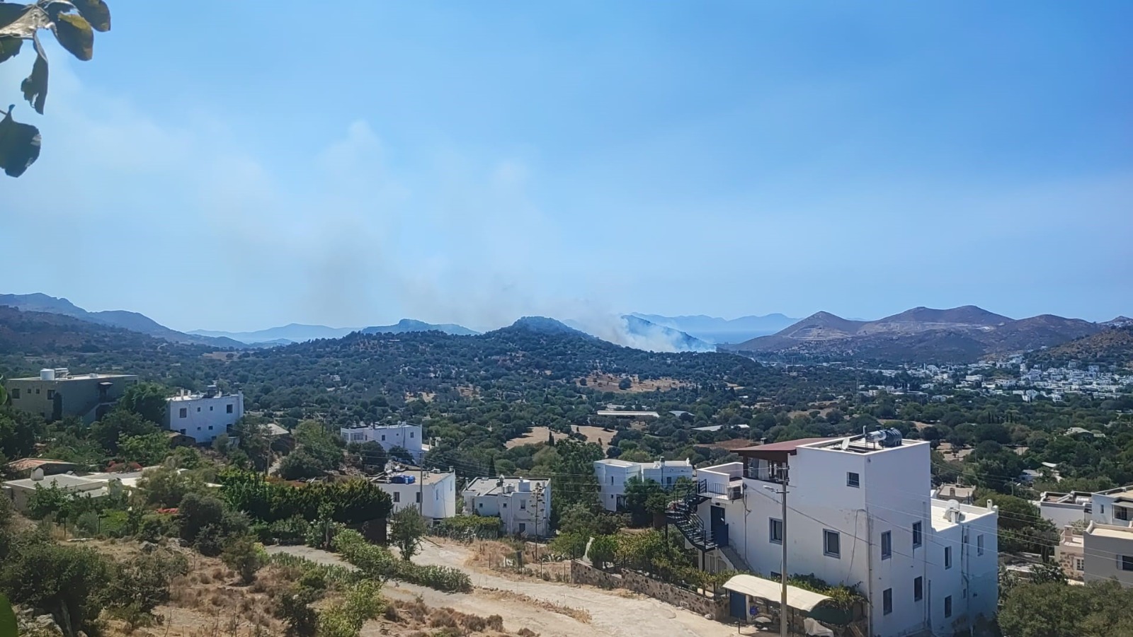 Memleket yangın yeri: Şimdi de Bodrum yanıyor!