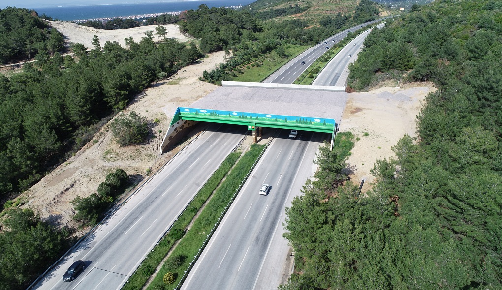 Aydın-Denizli Otoyolu’nda yaban hayatı korunacak