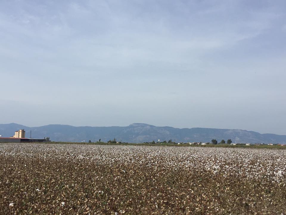 Aydın’a özgü AB tescilli ürün sayısı dörde çıktı