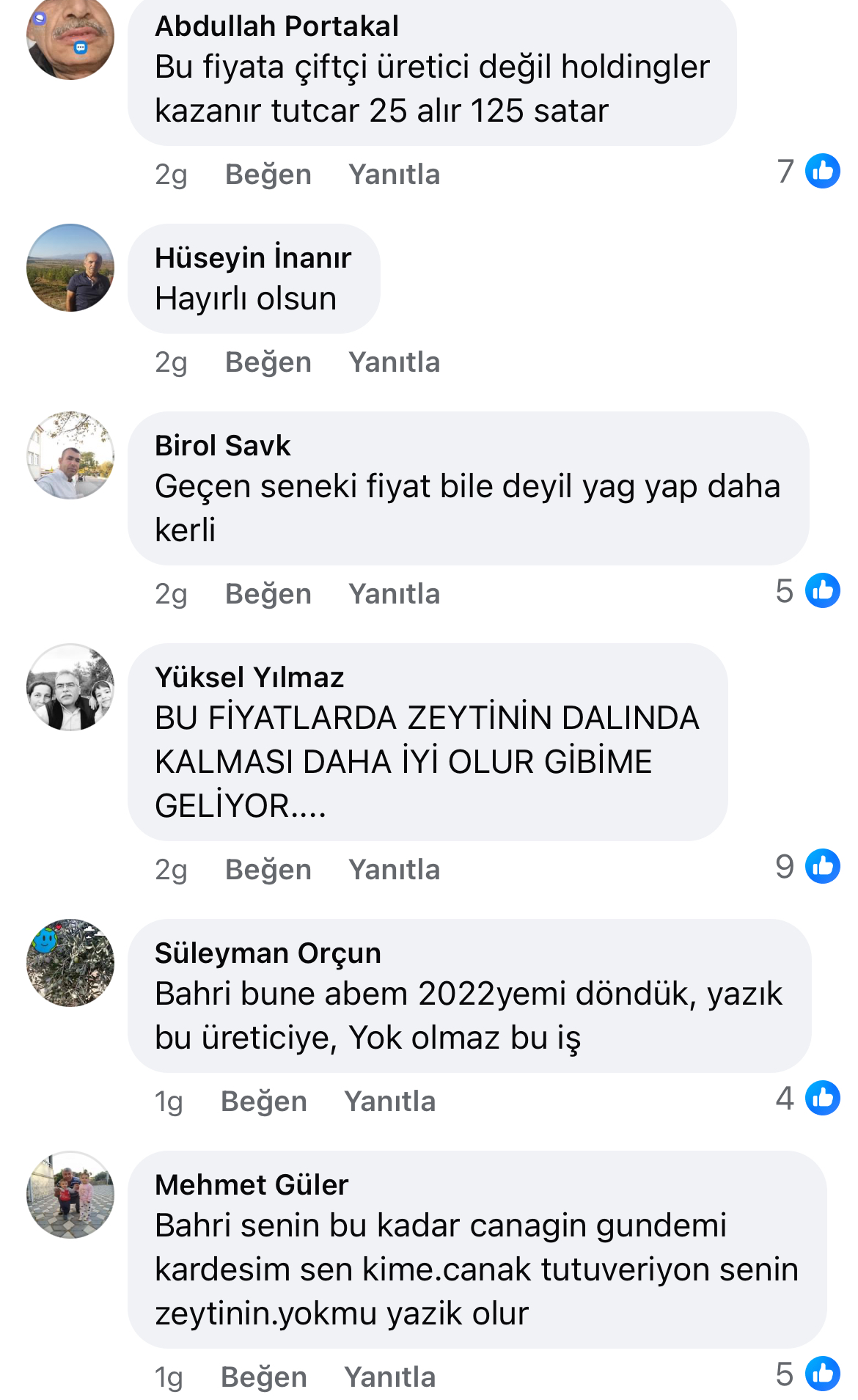 Aydın’da zeytin alım fiyatı açıklandı