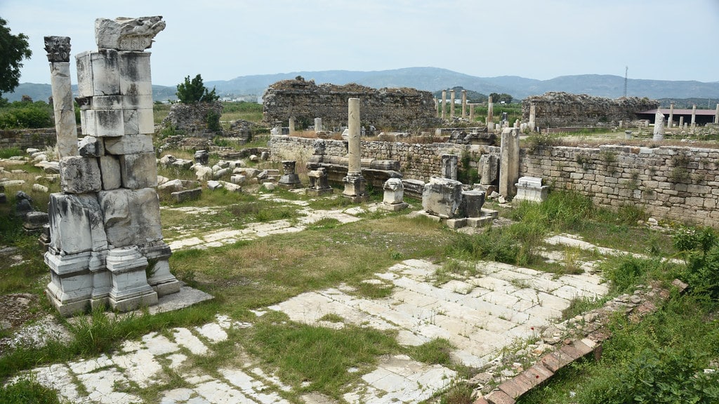 Aydın’daki antik tapınak yeniden ayağa kaldırılıyor