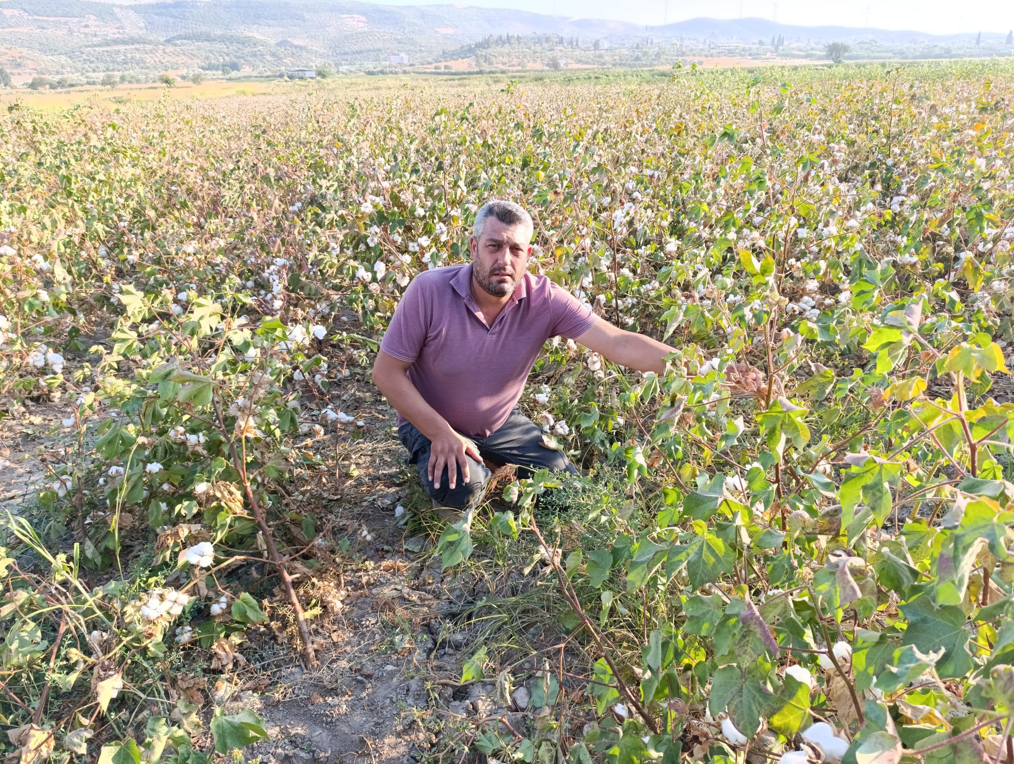 Çiftçinin belini ilaç fiyatları büküyor