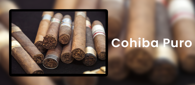 Cohiba Puro