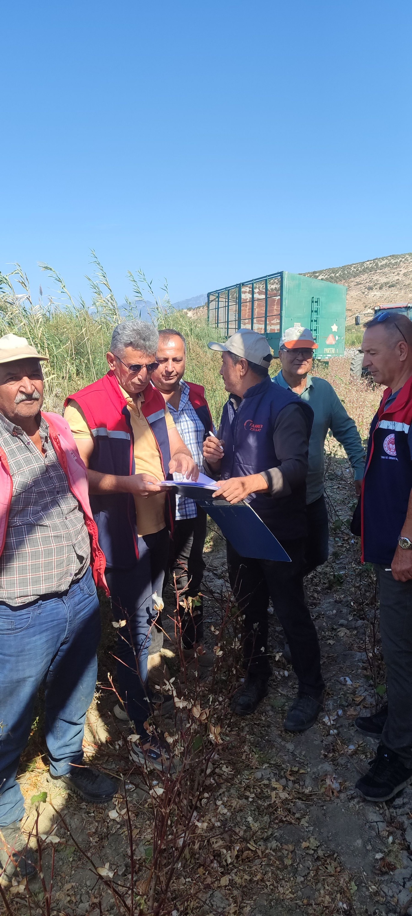 Didim’de pamuklar kontrol edildi 