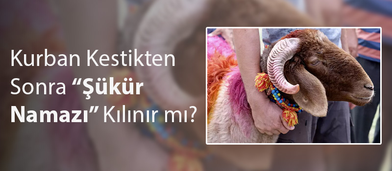 Kurban Kestikten Sonra Şükür Namazı Kılınır Mı