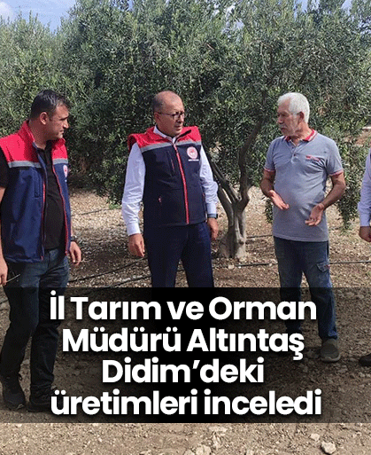 İl Tarım ve Orman Müdürü Altıntaş Didim’deki üretimleri inceledi