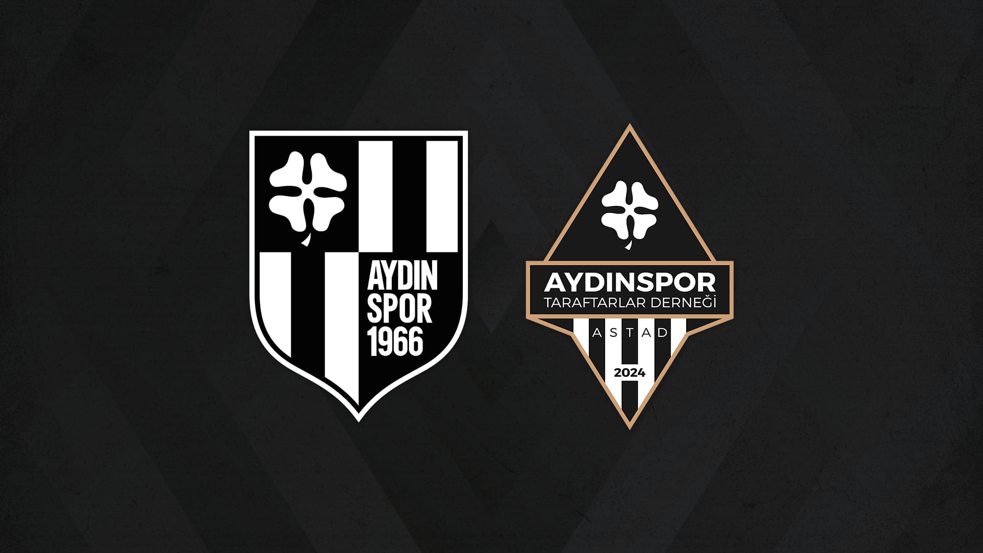 Aydınspor taraftarları dernek kurdu