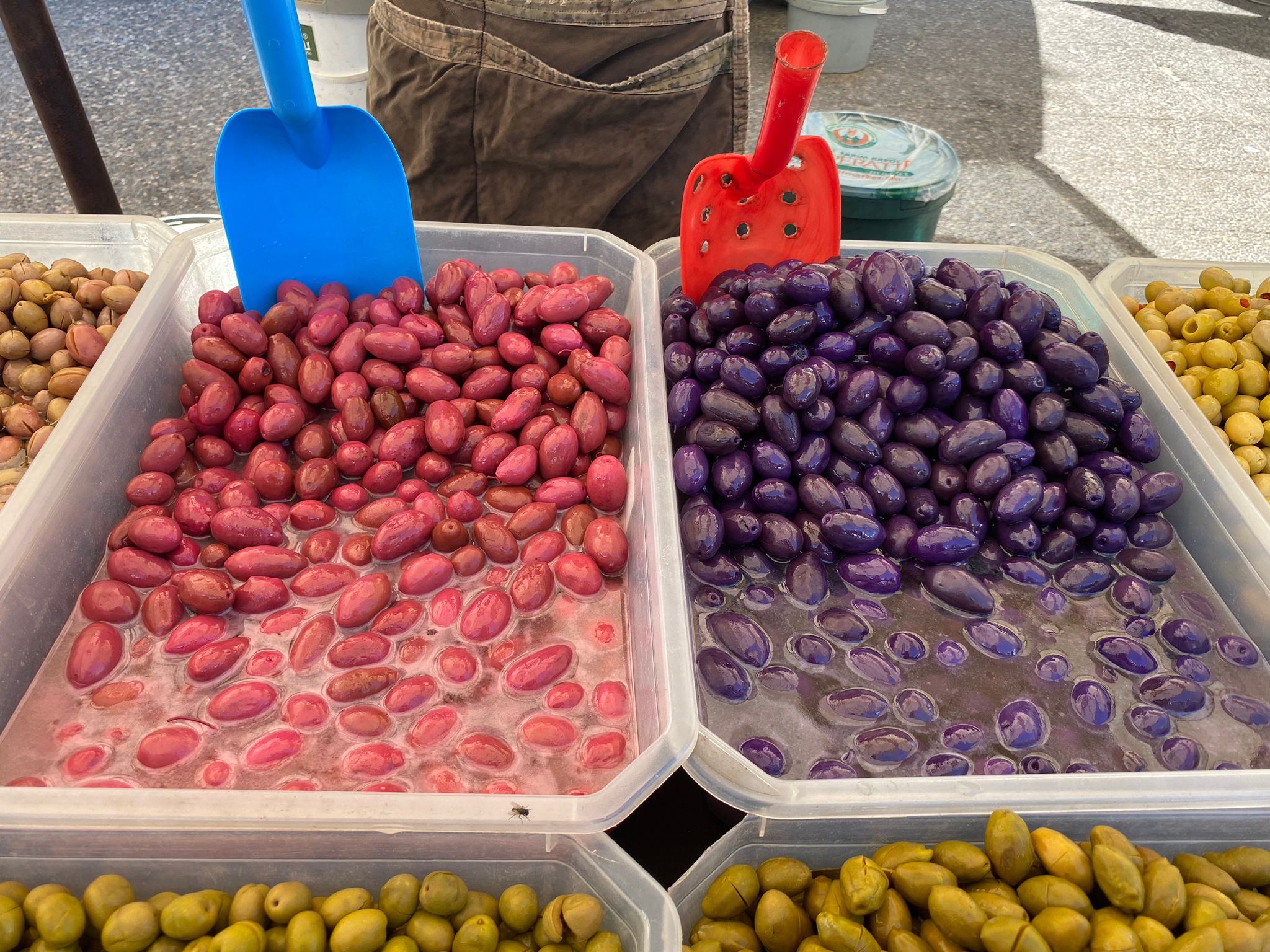 Aydın’da bu zeytinler yoğun ilgi görüyor