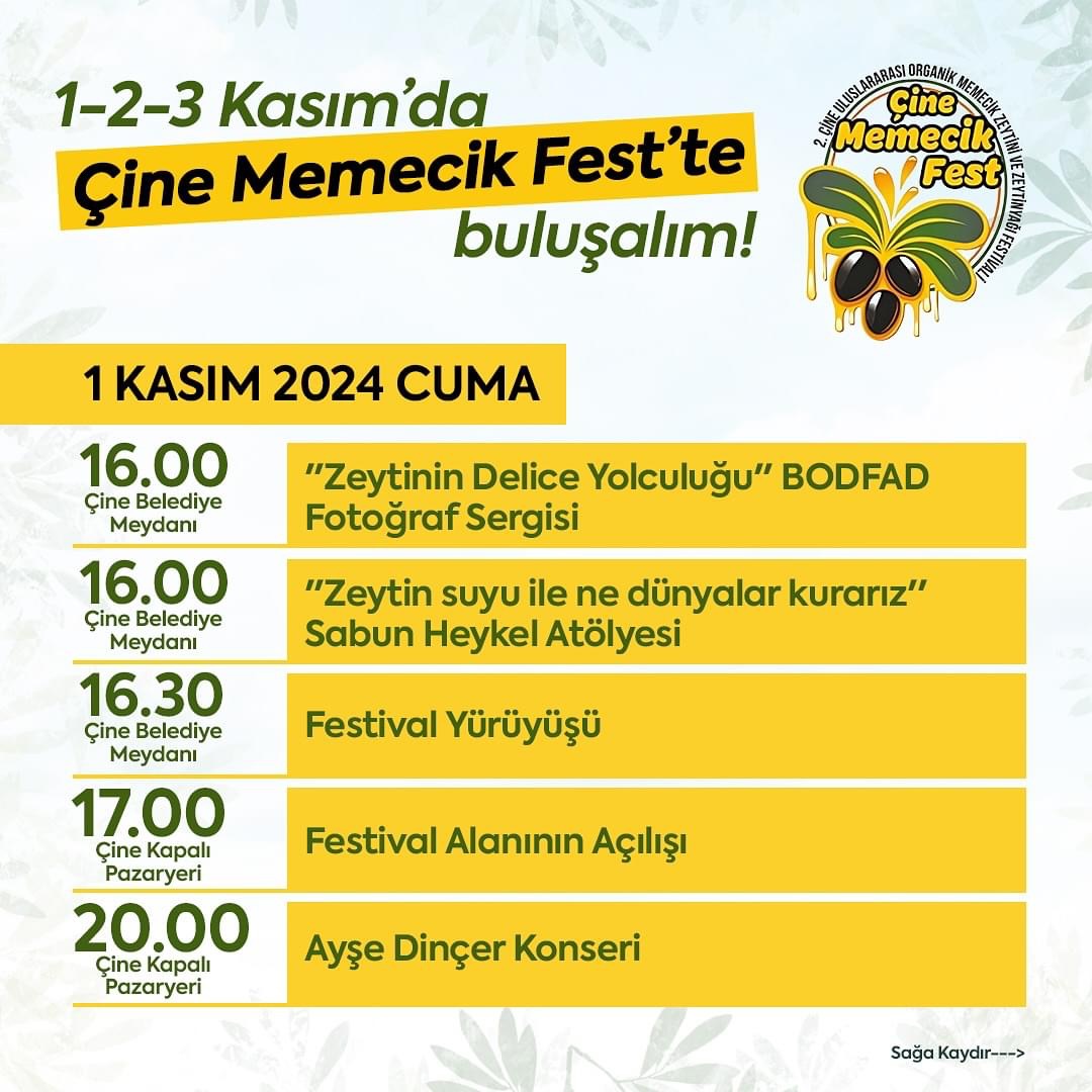 Aydin Memecik Feste Hazirlaniyor Aydin Bu Festivalle Zeytinyagina Doyacak 516172 Fa5909Beed02267D0769C9C6F838Ac97