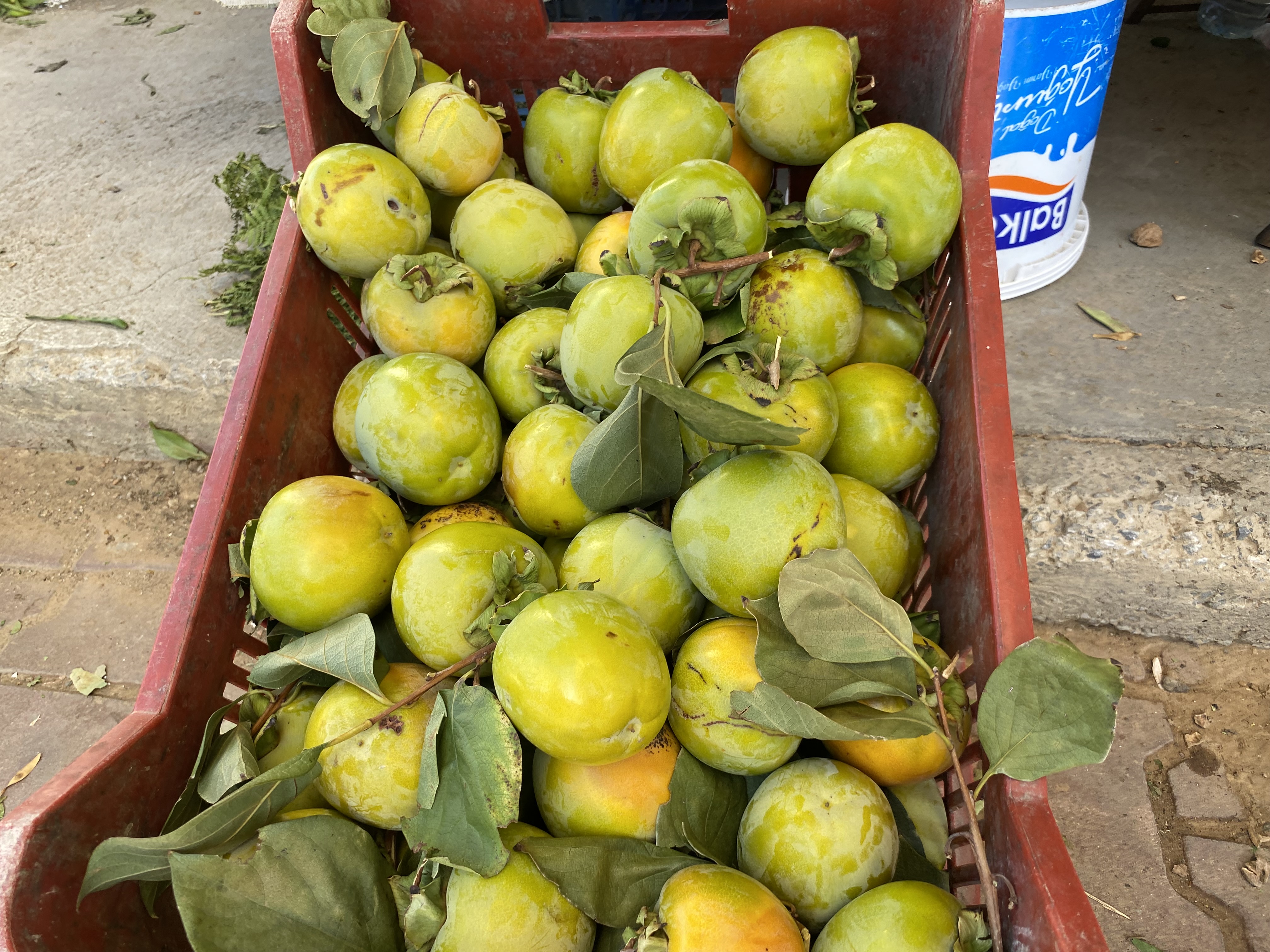 Bin derde deva olarak biliniyor! O meyve, pazarların gözbebeği oldu