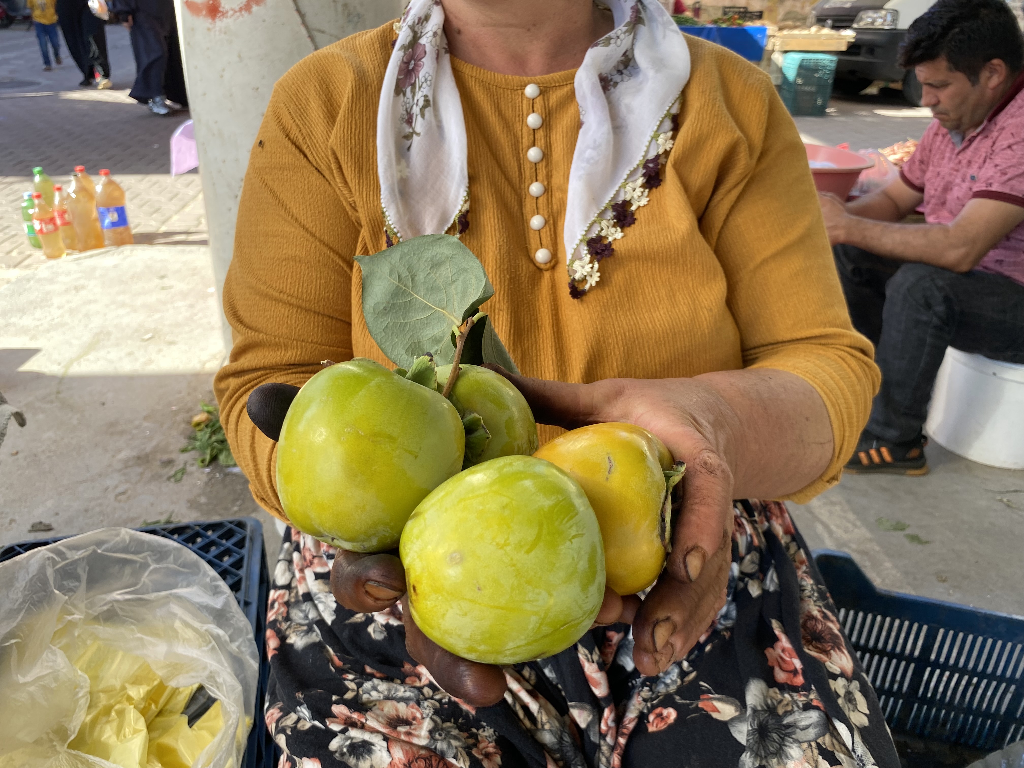 Bin derde deva olarak biliniyor! O meyve, pazarların gözbebeği oldu