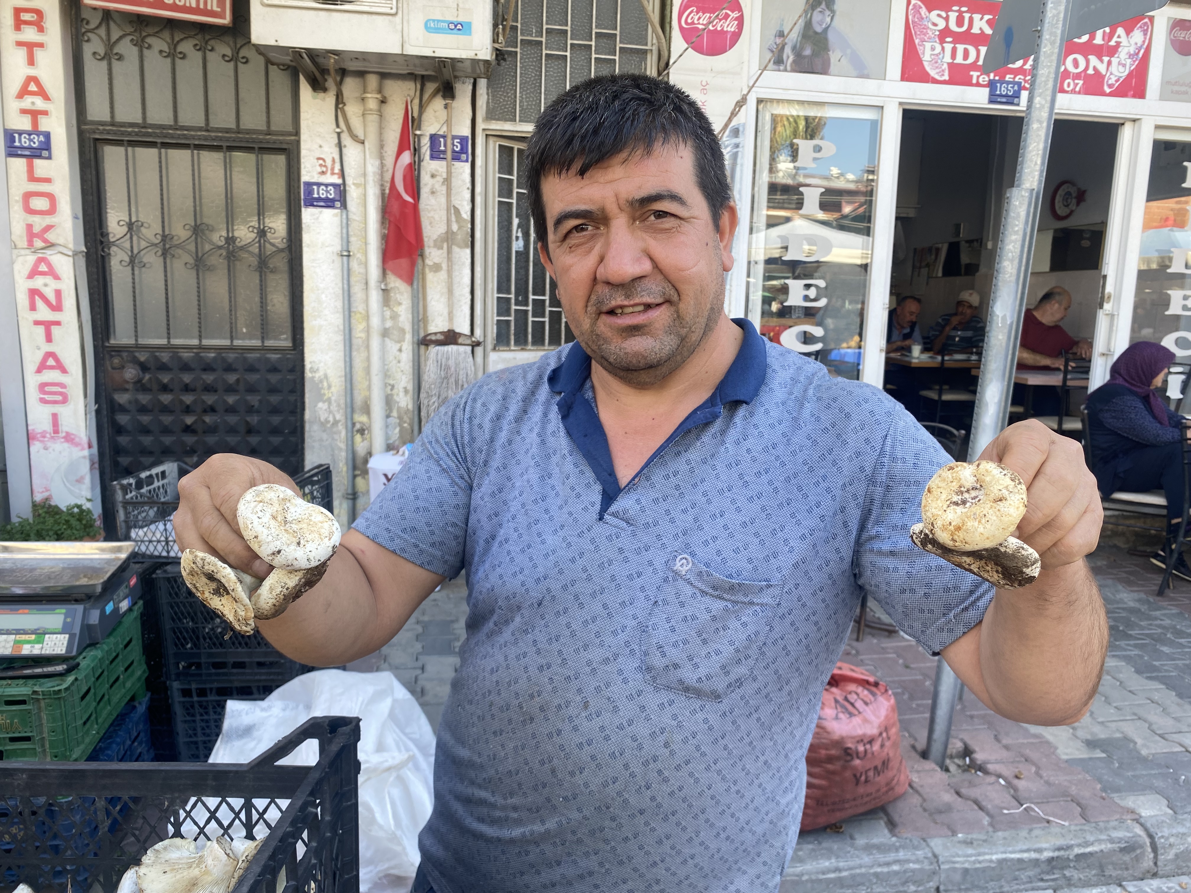 Germencik'te çıntara yoğun ilgi