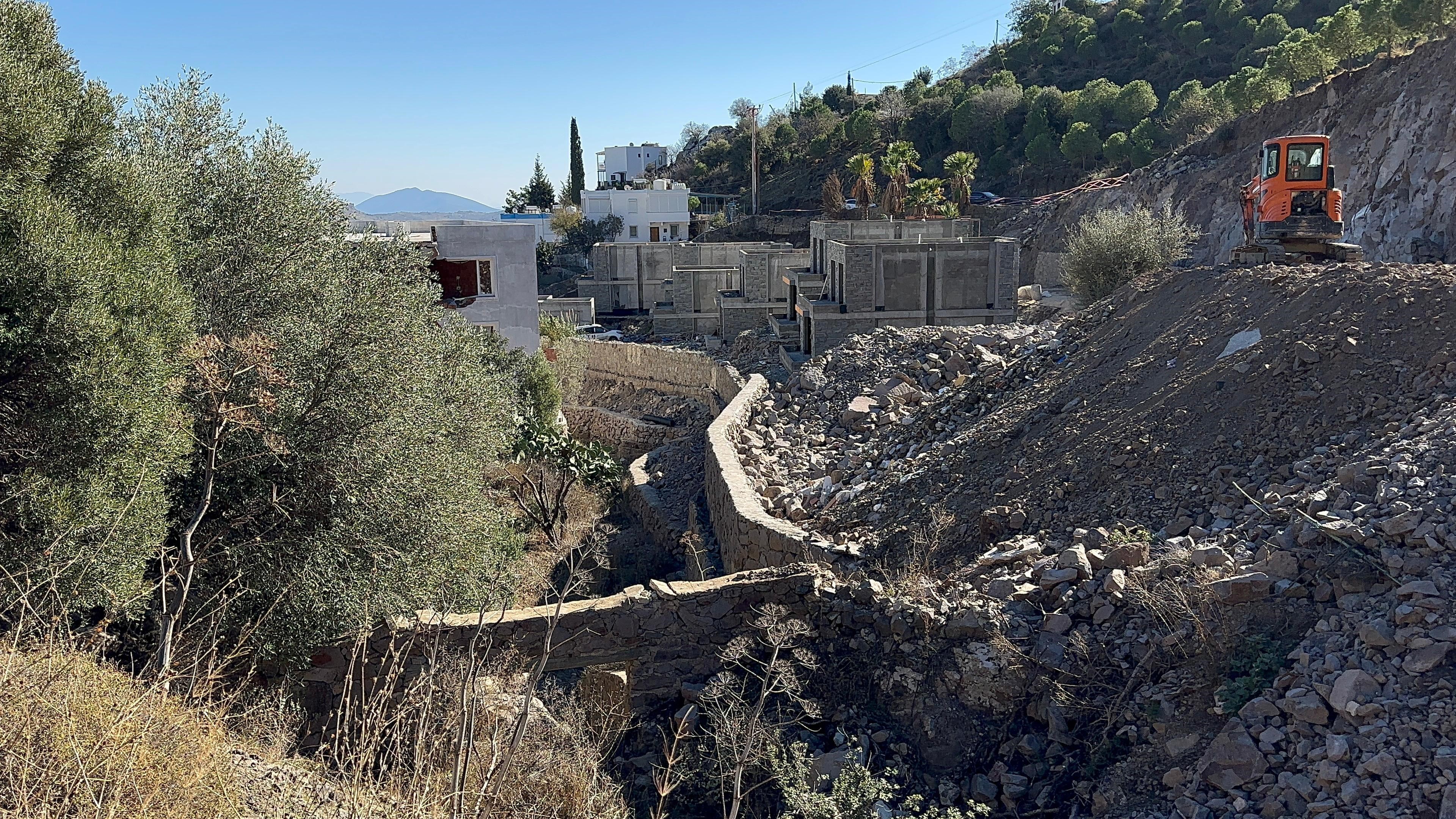 Suavi'ye doğa katliamı soruşturması! Villa için ağaçlar katledilmiş