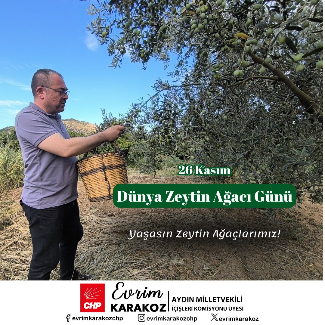 Karakoz’dan Dünya Zeytin Ağacı Günü mesajı: “Zeytin ağaçlarımız zenginliğimizdir”