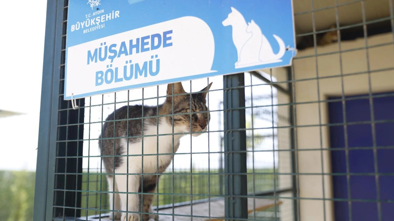 Sayıştay’dan Aydın Valiliği’ne nakdi yardım uyarısı 