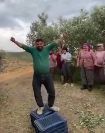 Zeytin hasadında bir ilk yaşandı! Görüntüler herkesi şaşkına çevirdi