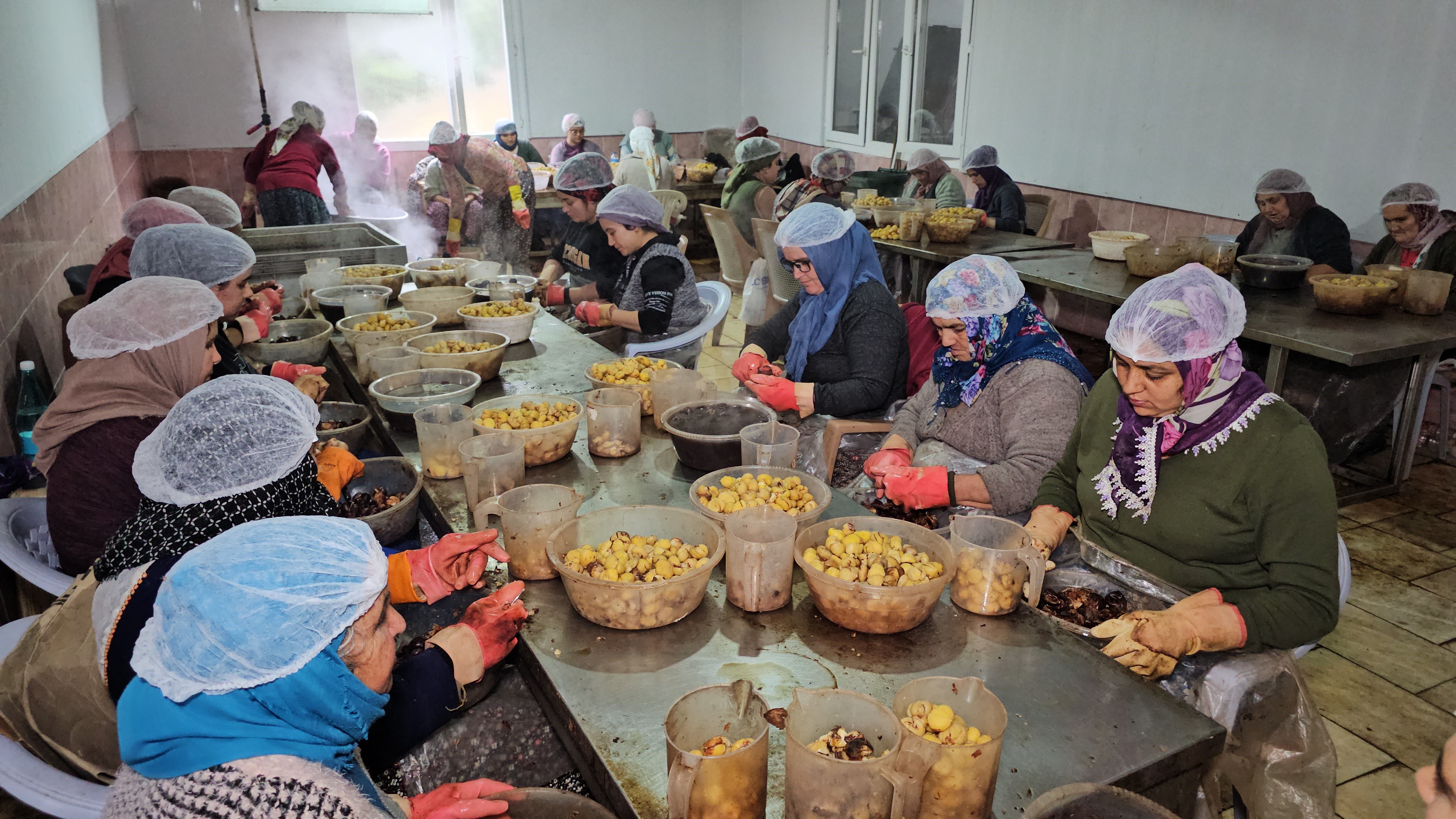 Japonlar müptelası oldu! Aydın'dan o ürünü almadan duramıyorlar