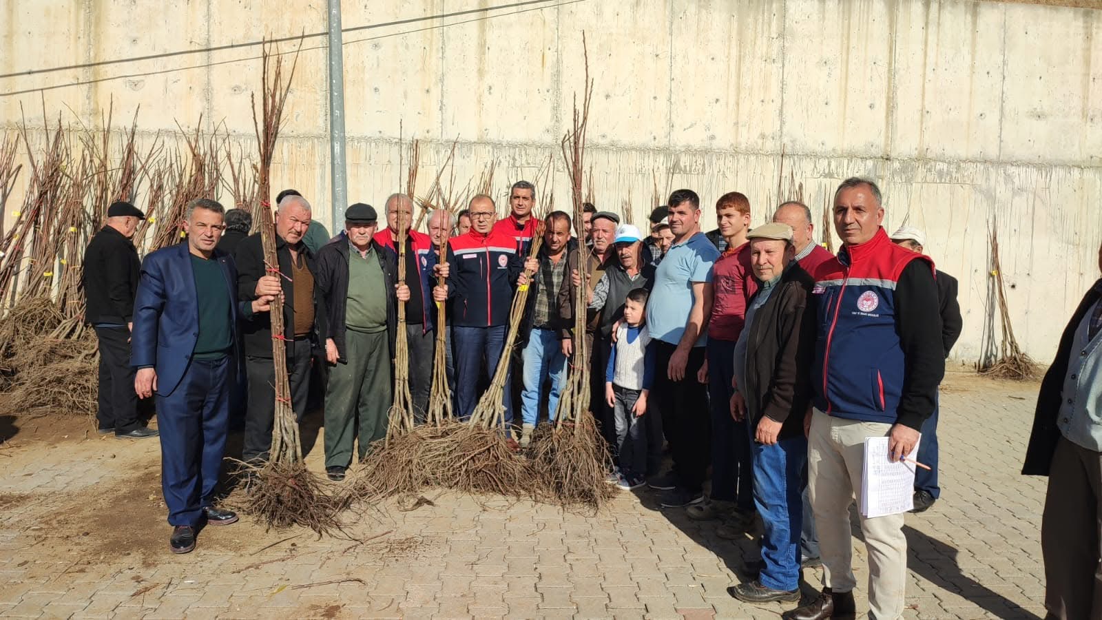 Aydın’da üreticiye destek! Fidan dağıtımları başladı 