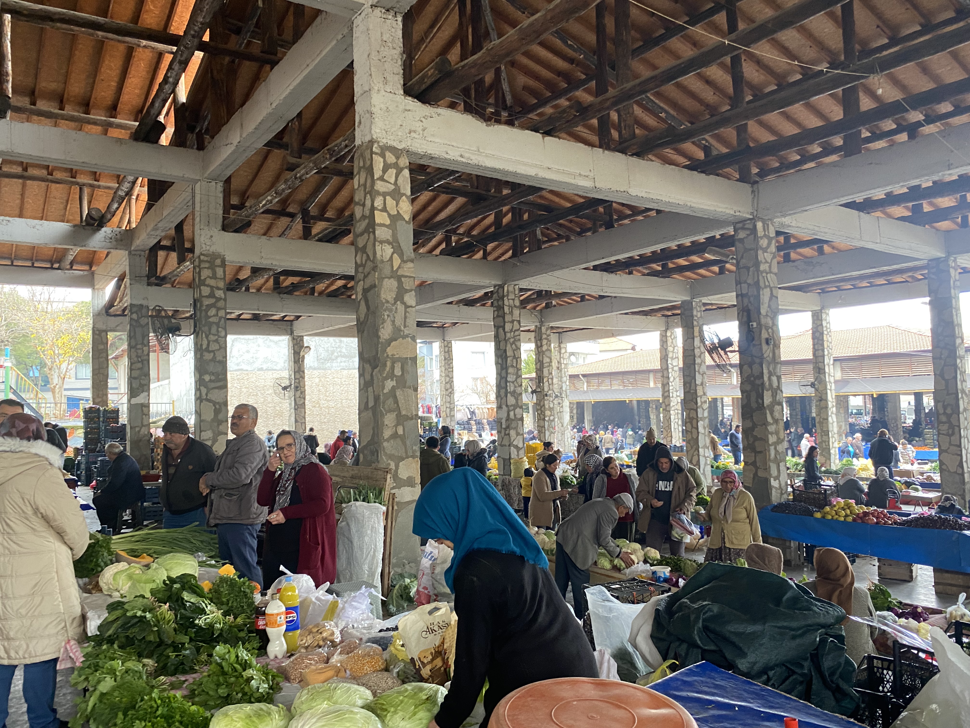 Aydın’da vatandaşlar zeytinliğe gitti: O ilçede pazar boş kaldı