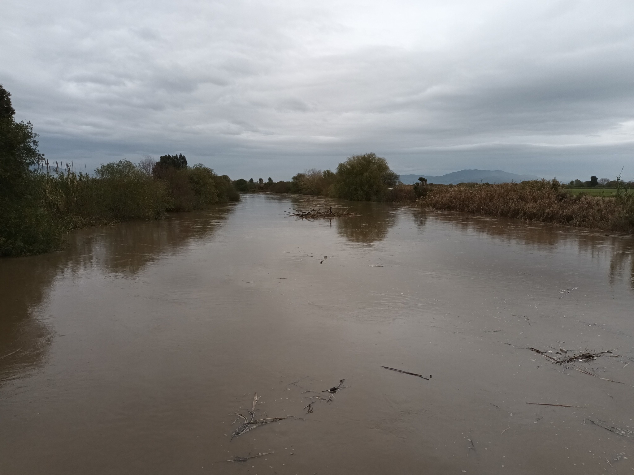 Büyük Menderes Nehri'nin canlanması Aydınlı çiftçileri sevindirdi