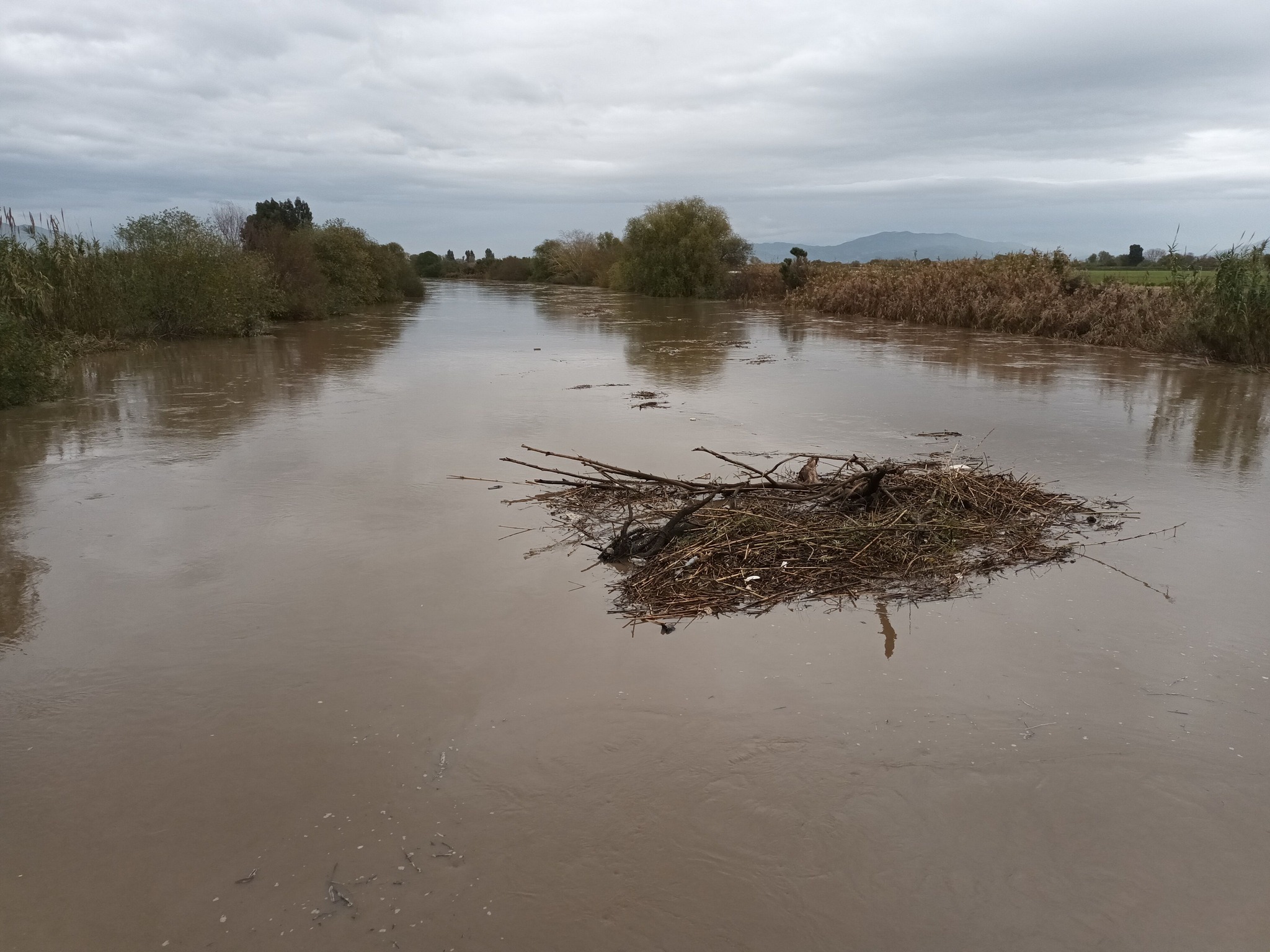 Büyük Menderes Nehri'nin canlanması Aydınlı çiftçileri sevindirdi